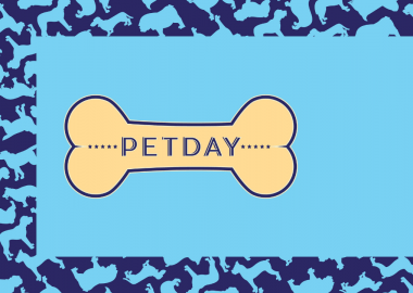 Pet day