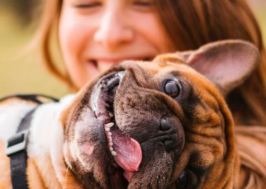 Pet Day do Bem - I Fashion Outlet