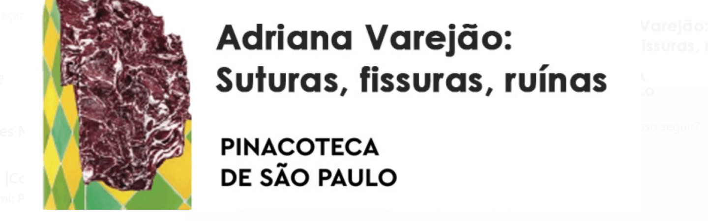 Pinacoteca – Adriana Varejão