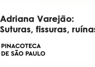 Pinacoteca – Adriana Varejão