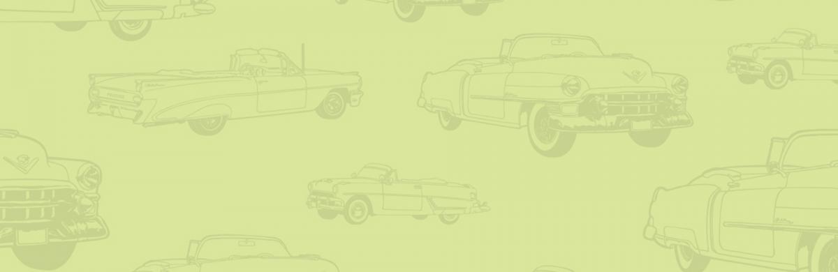 Drive-in Kids