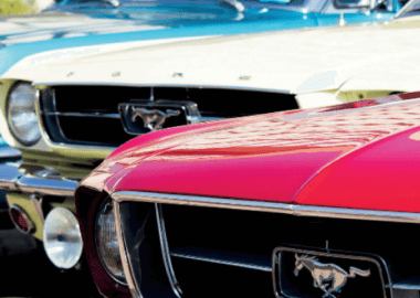 8º Ribeirão Auto Collection (8º RAC)