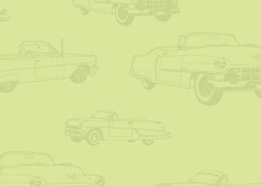 Drive-in Kids
